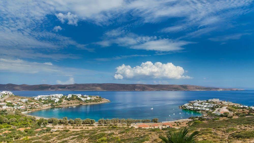 Sounio Villa Pire Dış mekan fotoğraf
